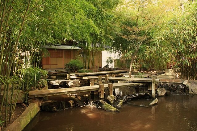 Jardins d'inspiration japonaise Jardin Serre Créatif